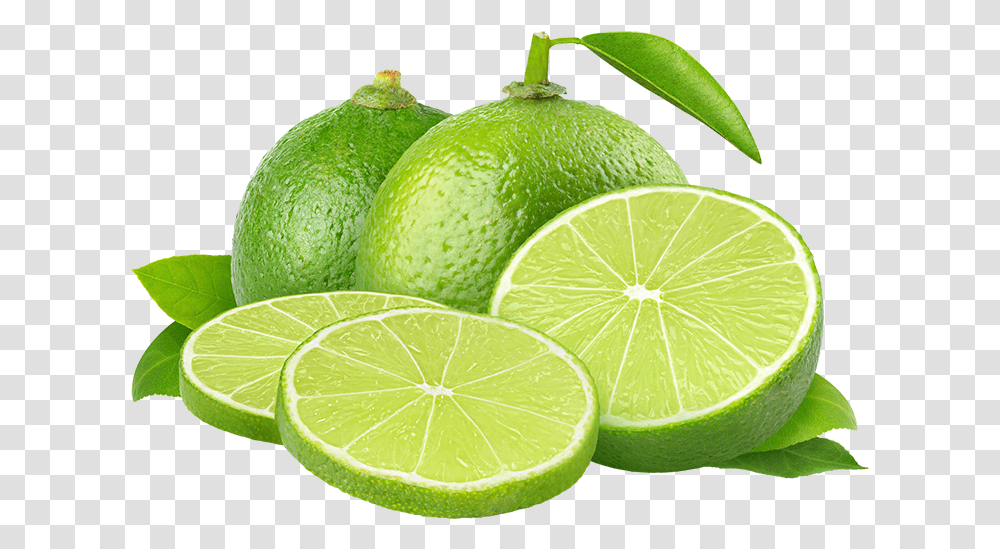 Limon, Lime, Citrus Fruit, Plant, Food Transparent Png