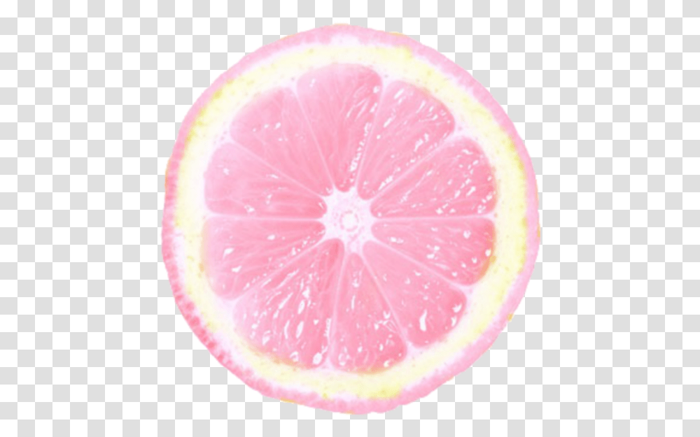 Limon Limonada Acido Tumblr Rosado Pink Equisde Meyer Lemon, Grapefruit, Citrus Fruit, Produce, Food Transparent Png
