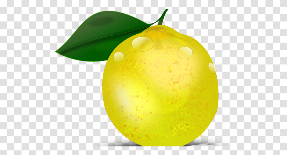 Limon Tropical Lemon, Plant, Citrus Fruit, Food, Egg Transparent Png