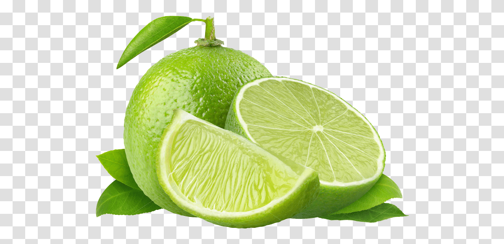 Limon Vector Sweet Lime Green Lemon, Citrus Fruit, Plant, Food, Tennis Ball Transparent Png