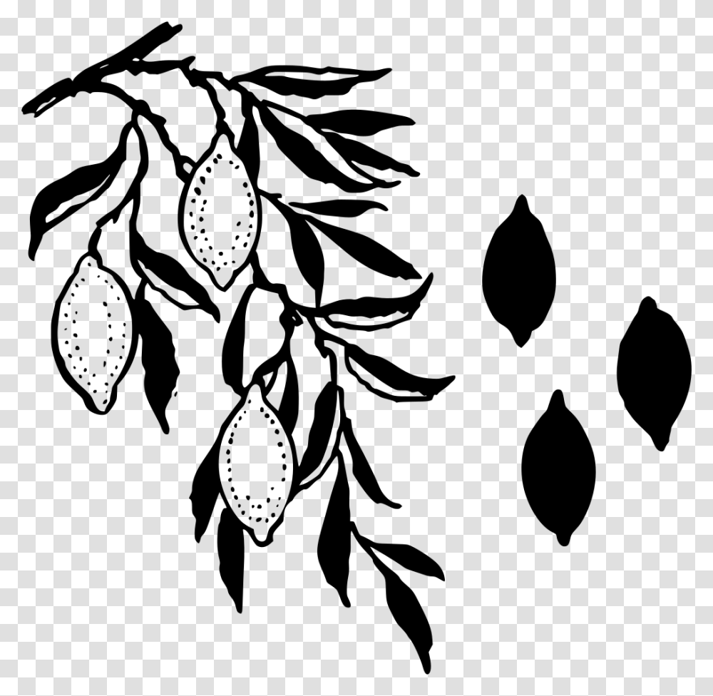 Limoncello Stencil, Gray, World Of Warcraft Transparent Png