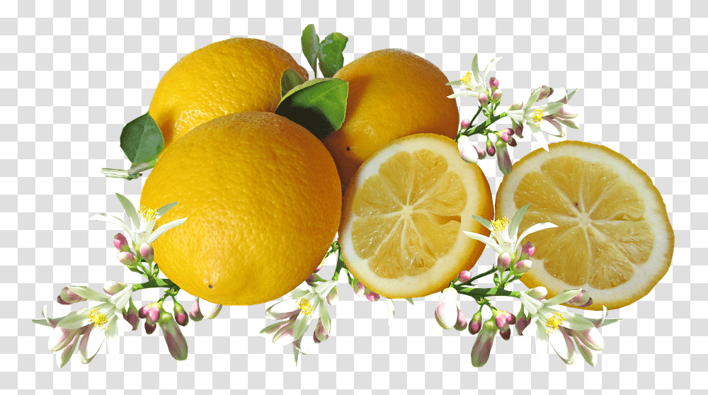 Limones Ctricos Frutas Flor Cocinar Limoni, Citrus Fruit, Plant, Food, Orange Transparent Png