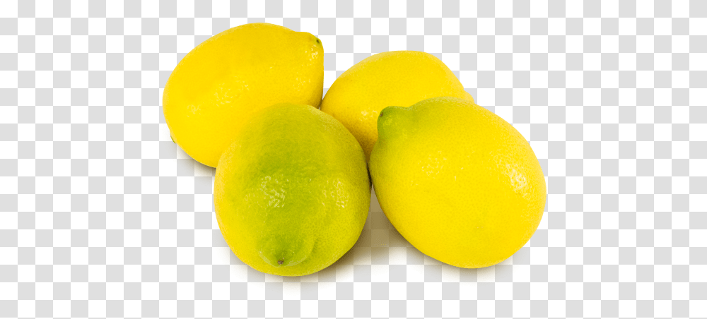 Limones Ecolgicos Sweet Lemon, Citrus Fruit, Plant, Food, Sweets Transparent Png
