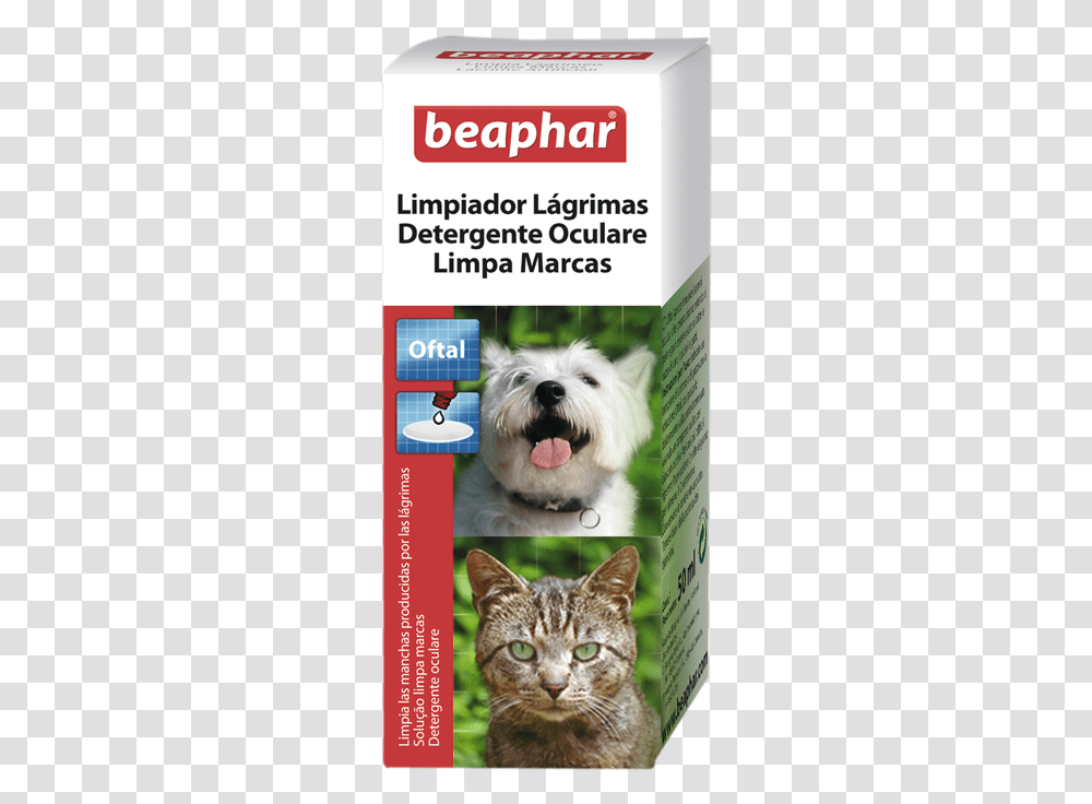Limpiador De Lgrimas Beaphar Tear Stain Remover, Poster, Advertisement, Cat, Pet Transparent Png