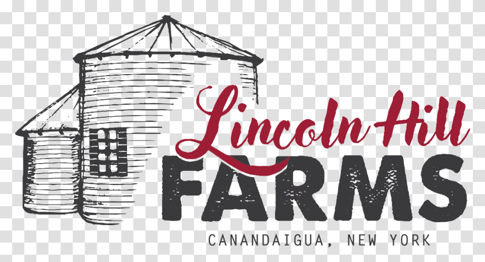 Lincoln Hill Farms Bisexual Camp, Alphabet, Advertisement, Poster Transparent Png