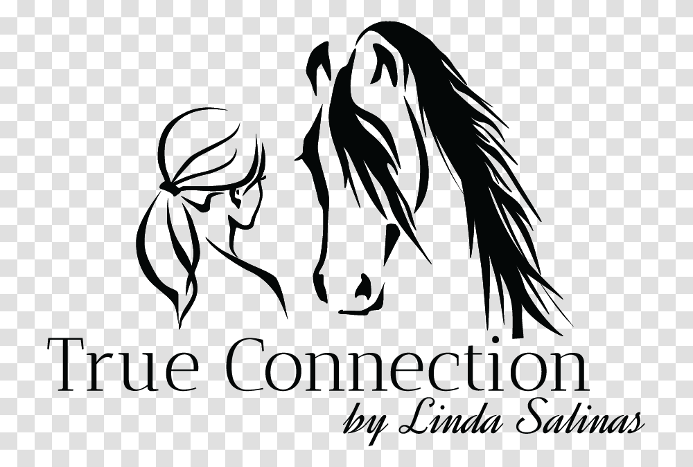 Linda J Salinas Horse Logo Arabian Horses Logo Ideas Arabian Horse Logo, Stencil, Bird, Animal Transparent Png