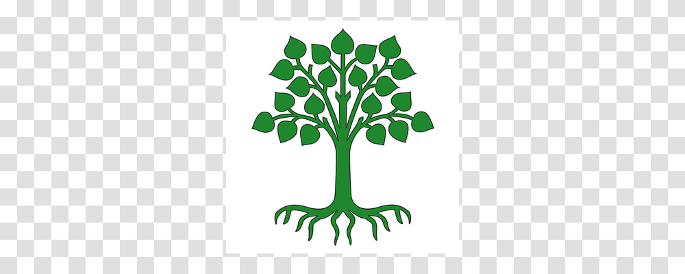 Lindau Plant, Root Transparent Png