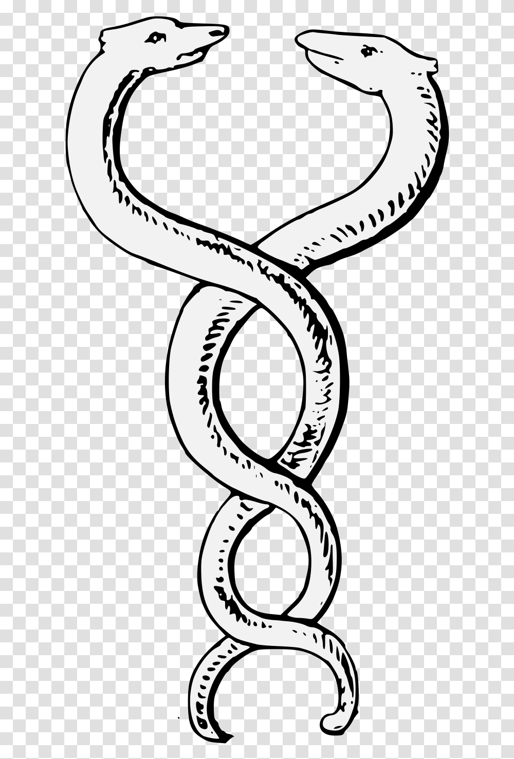 Line Art, Animal, Snake, Reptile, Cobra Transparent Png