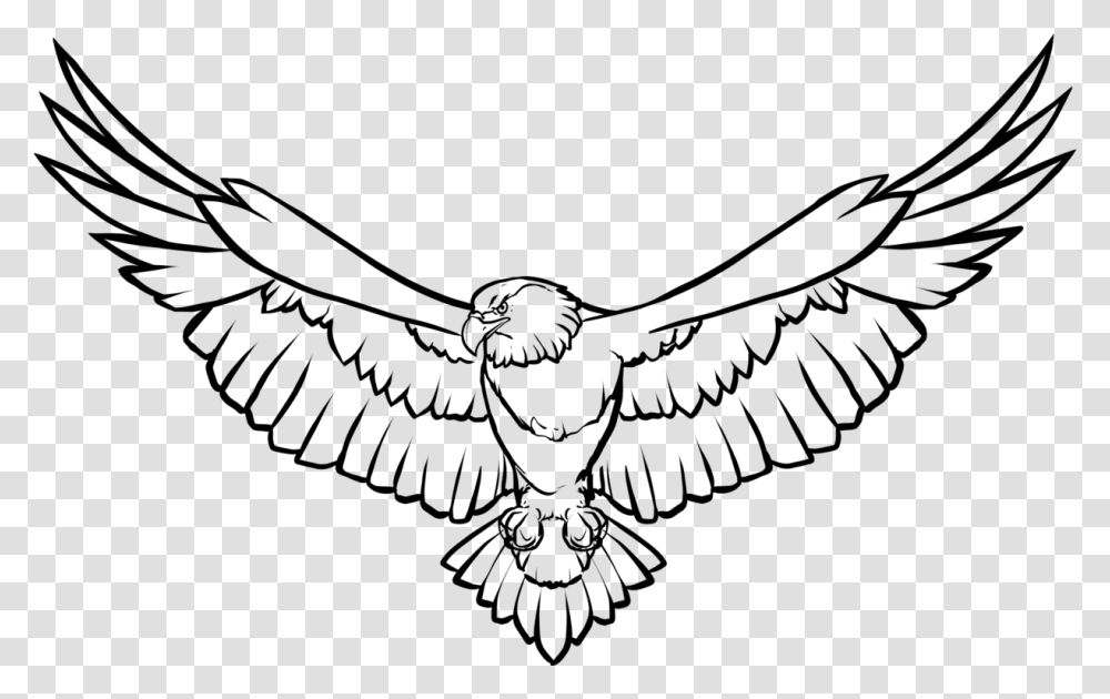 Line Art Drawing Bald Eagle Eagle Feather Law, Gray, World Of Warcraft Transparent Png