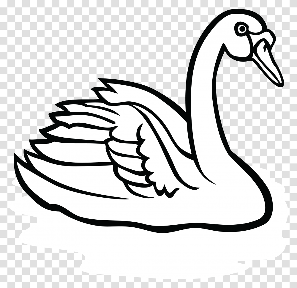 Line Art Drawing Clip Art, Swan, Bird, Animal, Waterfowl Transparent Png