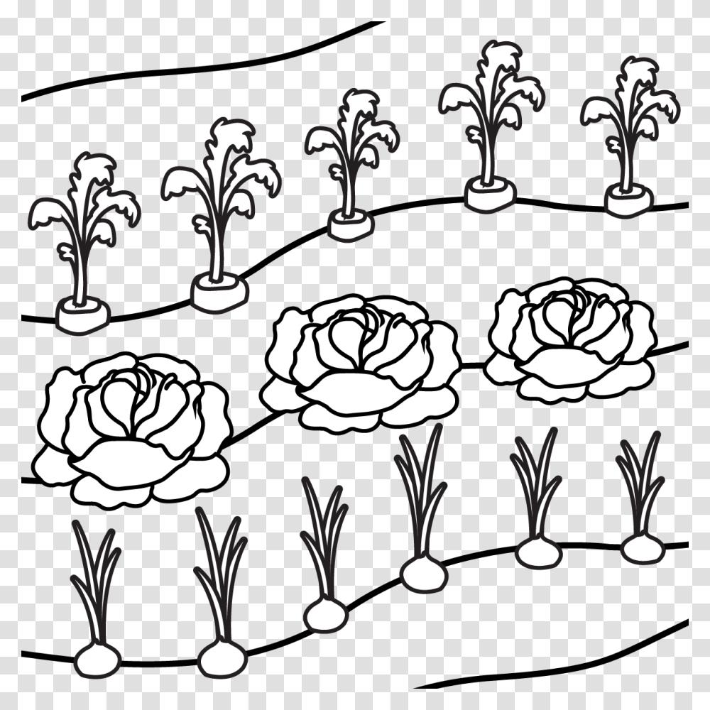 Line Art, Floral Design, Pattern, Drawing Transparent Png