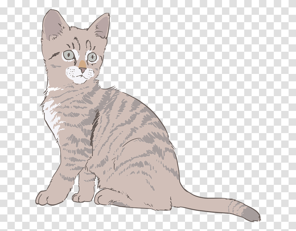 Line Art Fur Kitty Cat Drawing Background, Mammal, Animal, Pet, Manx Transparent Png