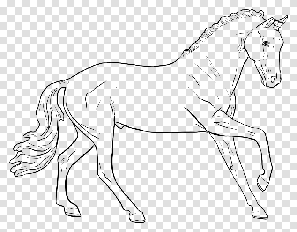 Line Art, Gray, World Of Warcraft Transparent Png
