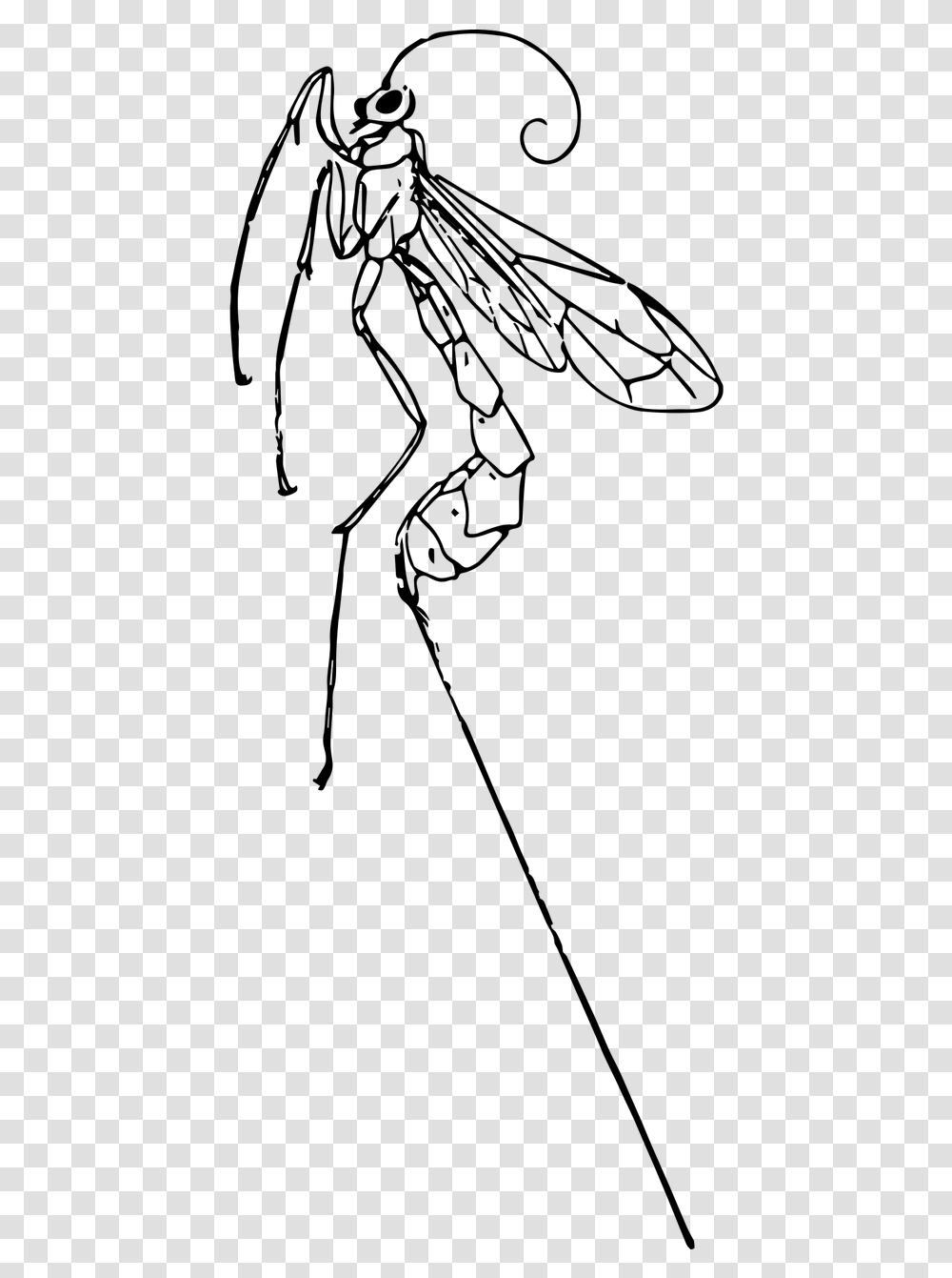 Line Art, Gray, World Of Warcraft Transparent Png