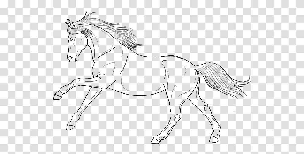 Line Art Horse, Gray, World Of Warcraft Transparent Png