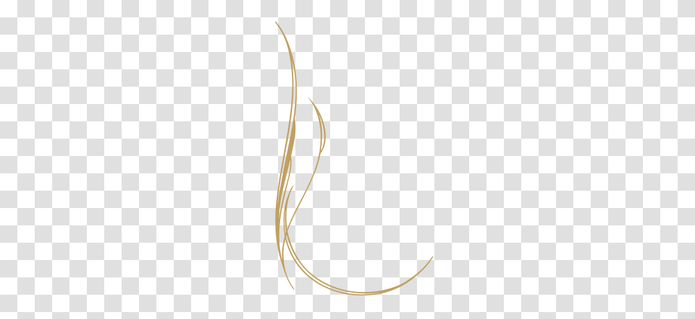 Line Art Image Vertical, Whip, Accessories, Accessory, Rope Transparent Png