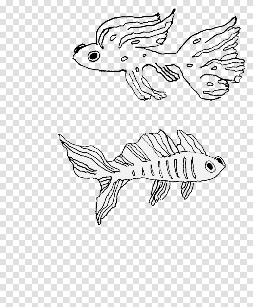 Line Art, Mullet Fish, Sea Life, Animal, Aquatic Transparent Png