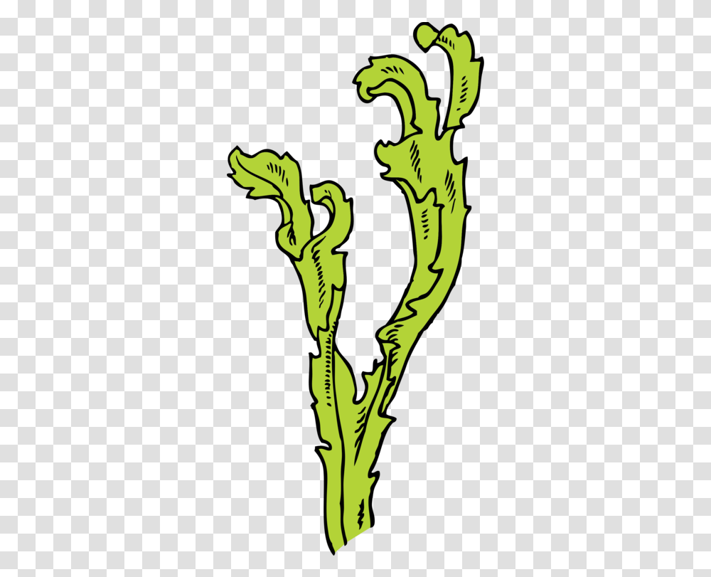 Line Art Plant Flora Clipart Seaweed Clip Art, Text, Label, Dragon, Person Transparent Png