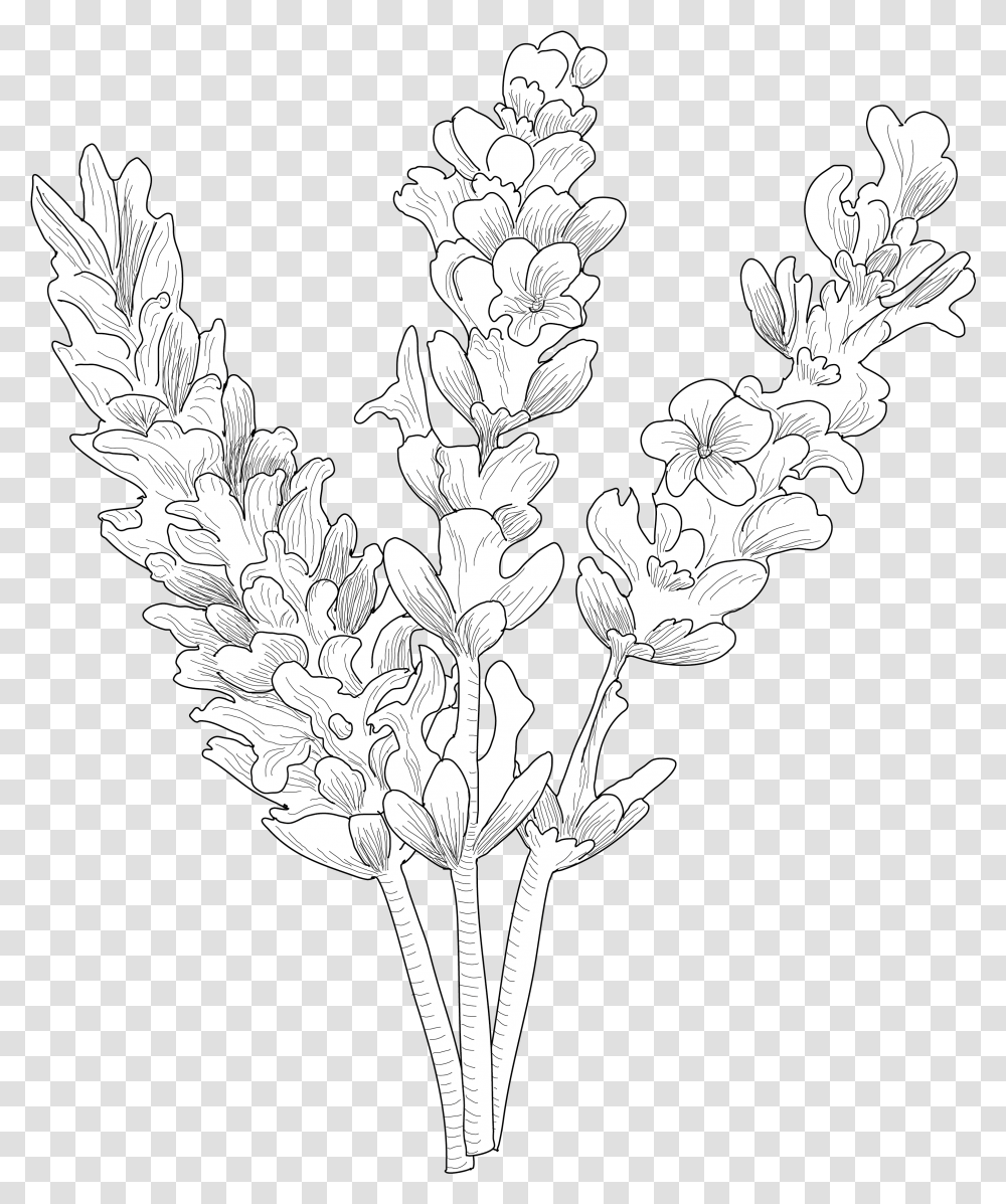 Line Art, Plant, Flower, Blossom, Cross Transparent Png