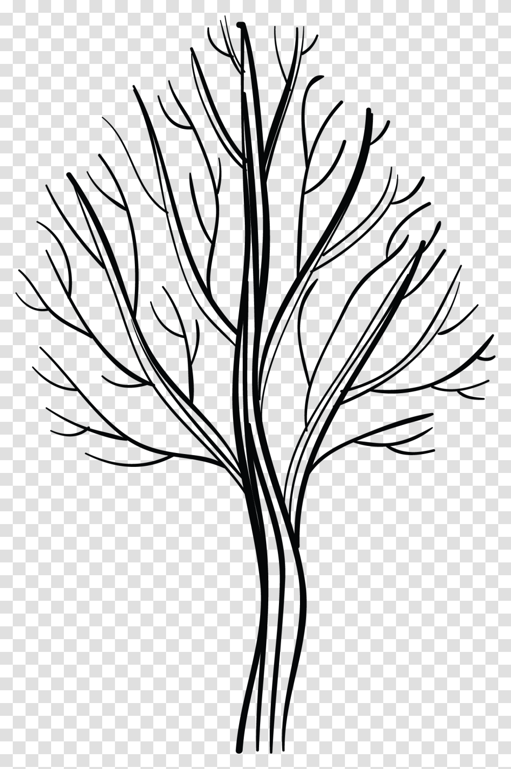 Line Art, Plant, Leaf, Stencil, Tree Transparent Png