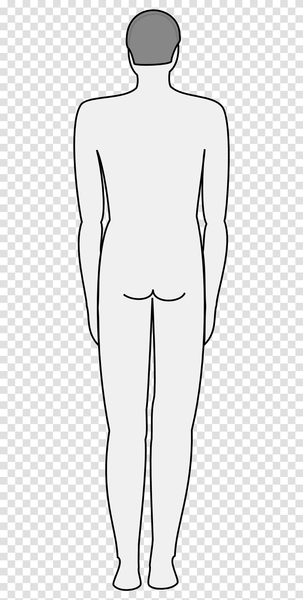 Line Art Silhouette Vertebral Column Human Back Male Back Silhouette, Person, Face, Linen Transparent Png