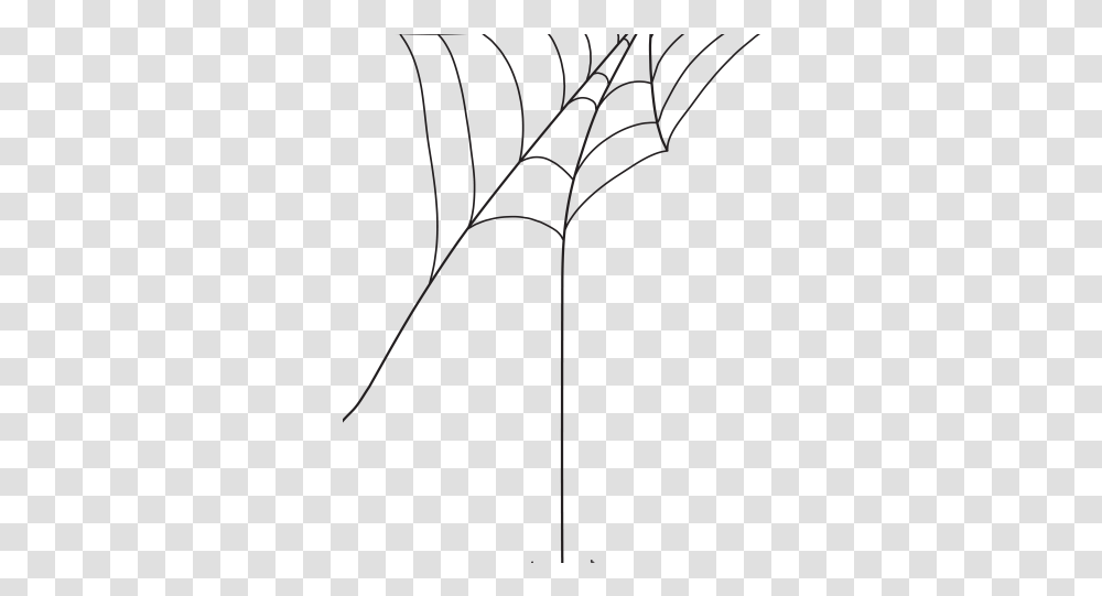 Line Art, Spider Web, Plant Transparent Png