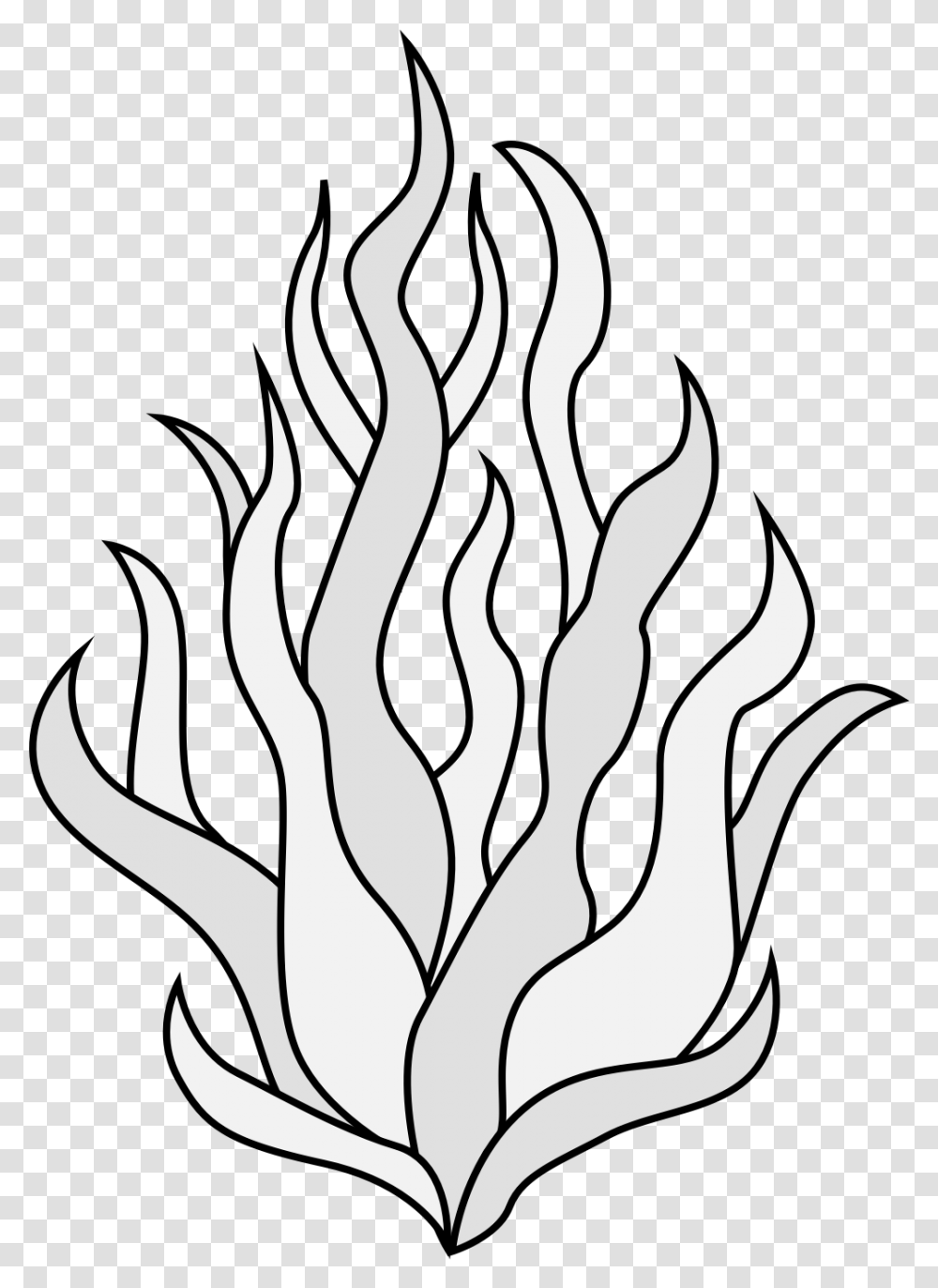 Line Art, Stencil, Seaweed, Flame, Fire Transparent Png