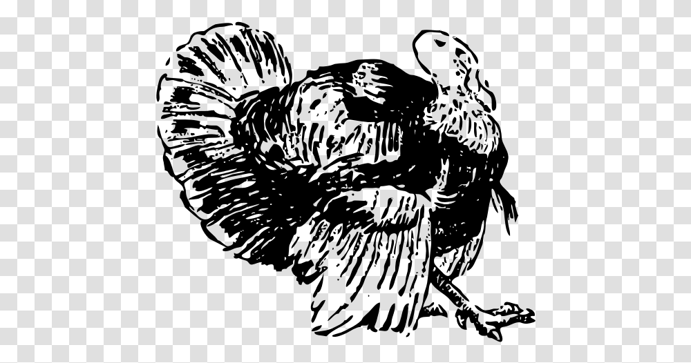 Line Art Vector Drawing Of Turkey, Gray, World Of Warcraft Transparent Png