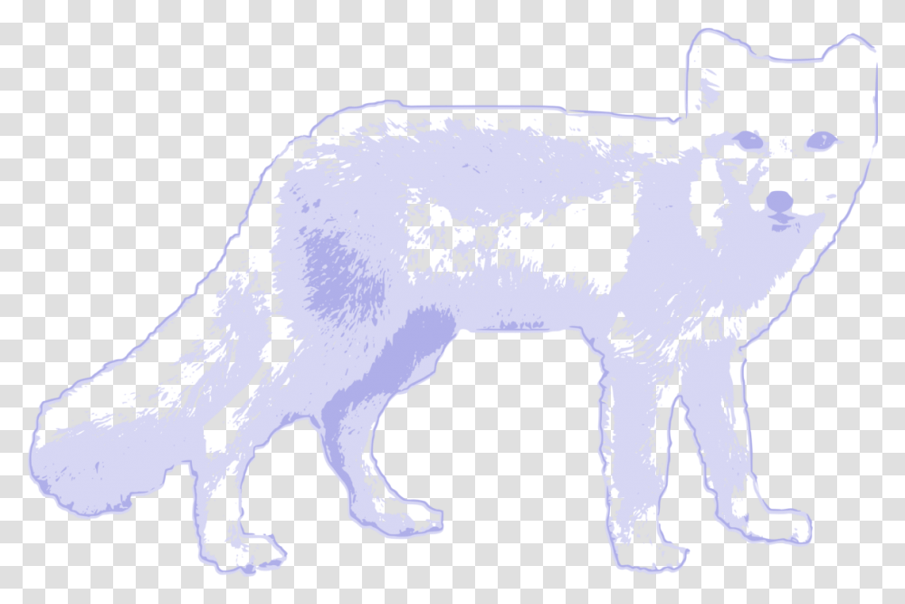 Line Art Wildlife Small To Medium Sized Arctic Wolf Arctic Fox Clipart, Mammal, Animal, Canine, Pet Transparent Png