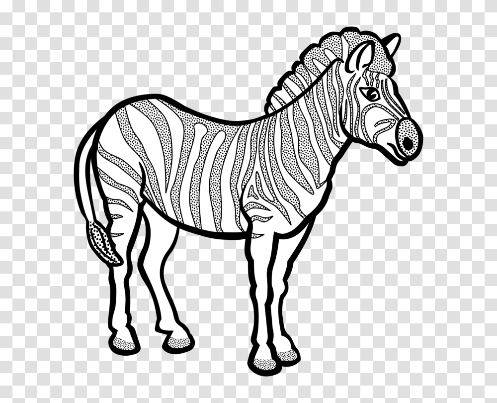 Line Art Zebra Black And White, Mammal, Animal, Wildlife, Horse Transparent Png