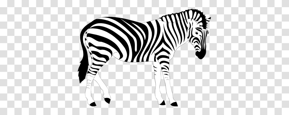 Line Art Zebra Black And White, Wildlife, Mammal, Animal, Stencil Transparent Png