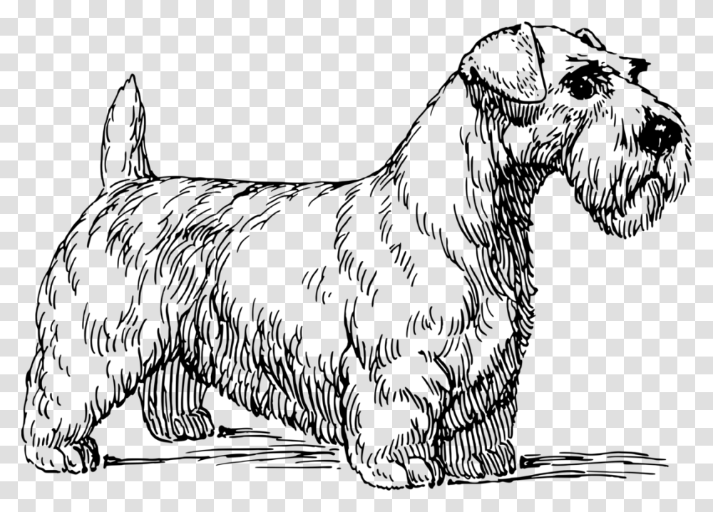 Line Artartpaw Sealyham Terrier Vector, Gray, World Of Warcraft Transparent Png