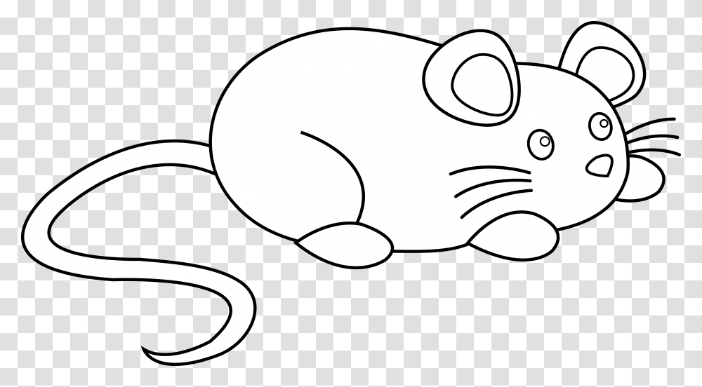 Line Artcoloring Booksnouttailblack And Cute Mouse Clipart Easy, Spiral, Coil, Cylinder Transparent Png