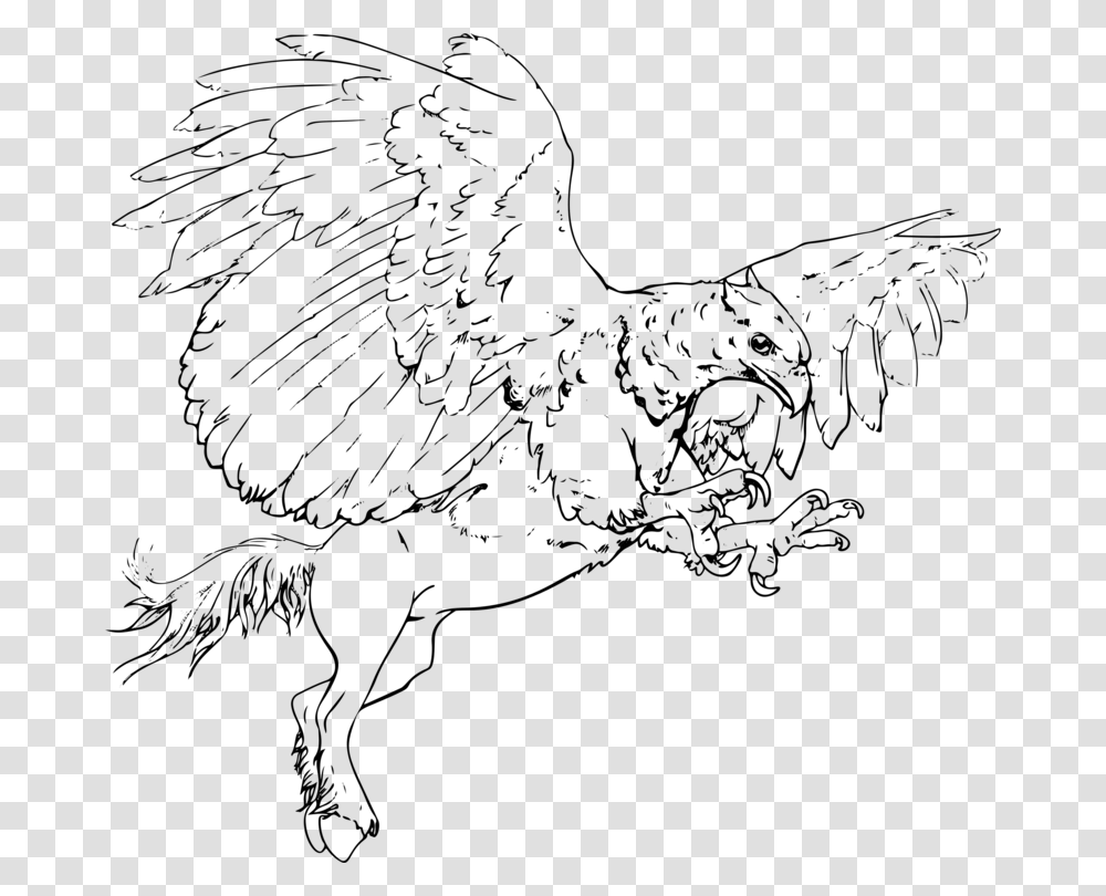 Line Artheadcoloring Book Griffin, Gray, World Of Warcraft Transparent Png