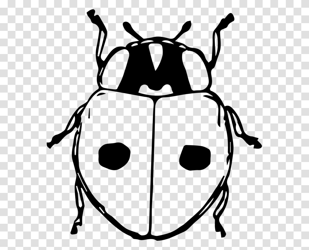 Line Artmonochrome Photographyladybird Clipart Stag Beetle Beetle Cartoon, Gray, World Of Warcraft Transparent Png