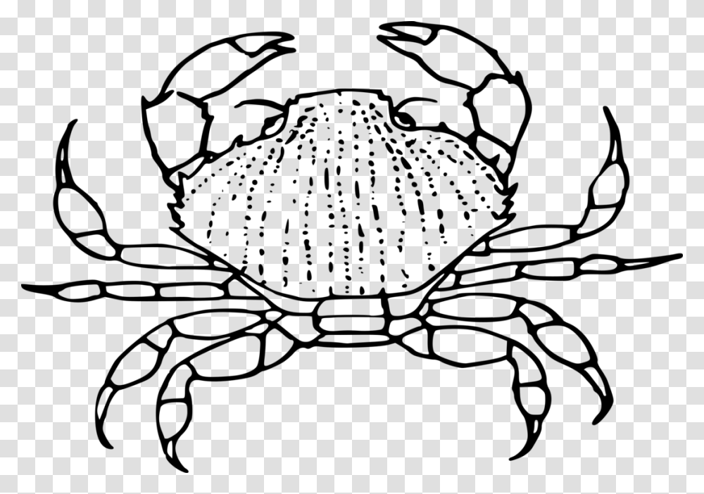 Line Artplantdecapoda Black And White Crab Clip Art, Gray, World Of Warcraft Transparent Png