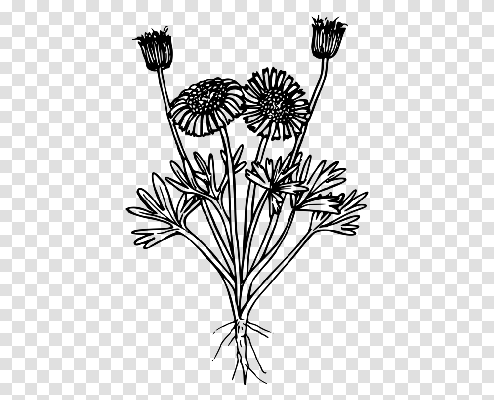Line Artplantflora Wildflower Clip Art, Gray, World Of Warcraft Transparent Png