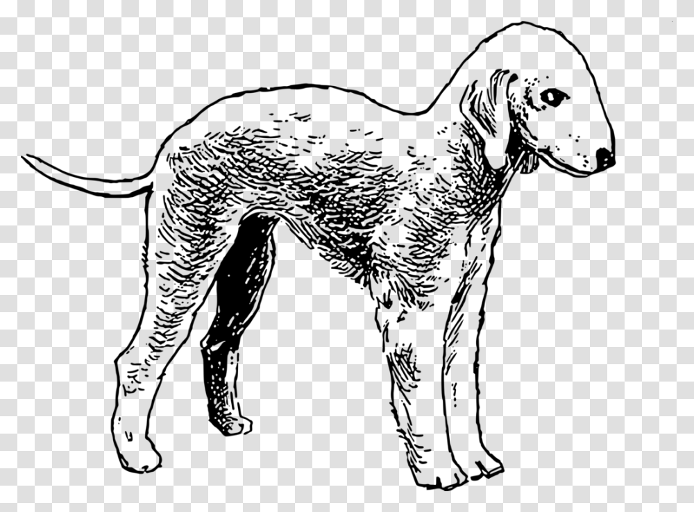 Line Artwildlifedalmatian Bedlington Terrier Colouring Book, Gray, World Of Warcraft Transparent Png