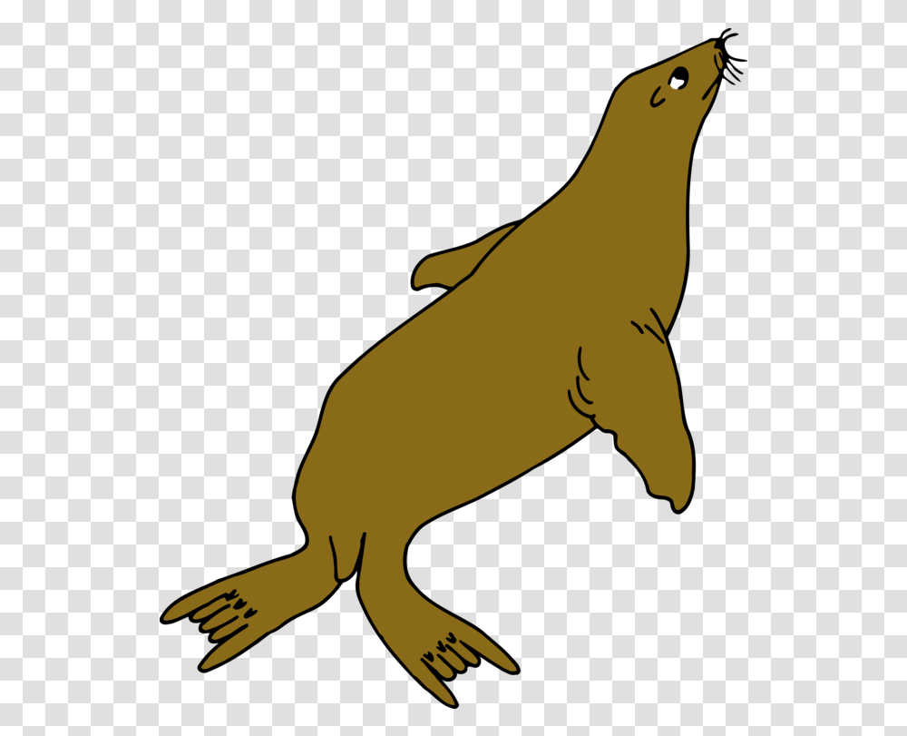 Line Artwildlifewing Clipart Royalty Free Svg Seal Drawing With Colour, Animal, Mammal, Kangaroo, Otter Transparent Png