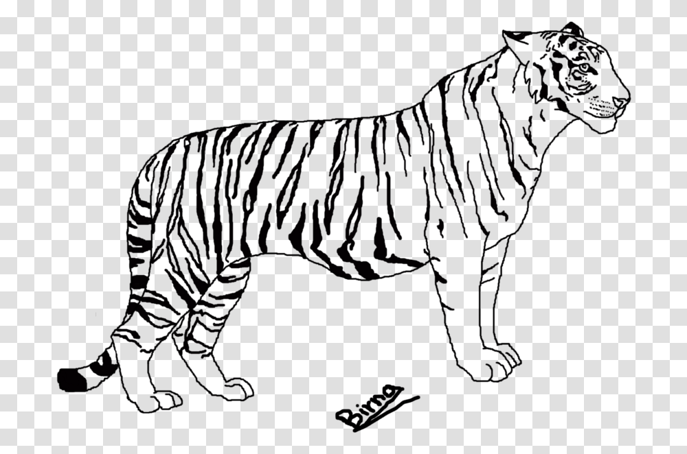 Line At Getdrawings Com Tiger Line Art, Mammal, Animal, Hand, Wildlife Transparent Png