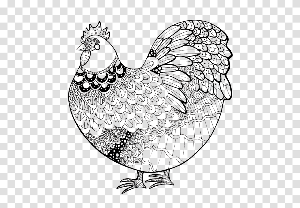 Line Chicken Coloring Book, Bird, Animal, Poultry, Fowl Transparent Png