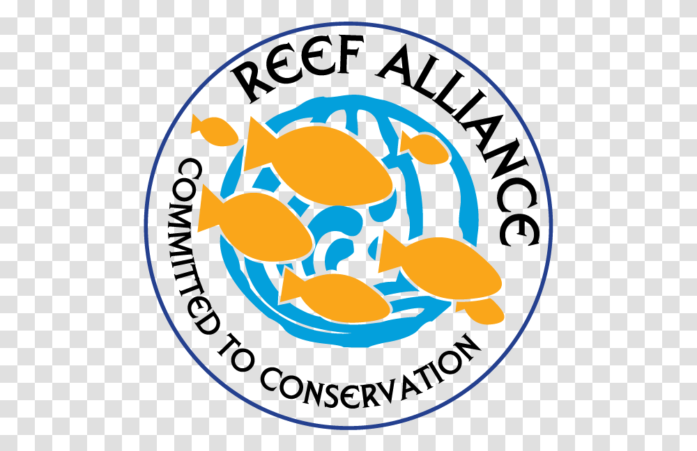 Line Clipart Coral Reef Alliance Transprent Free, Animal, Sea Life, Fish, Painting Transparent Png