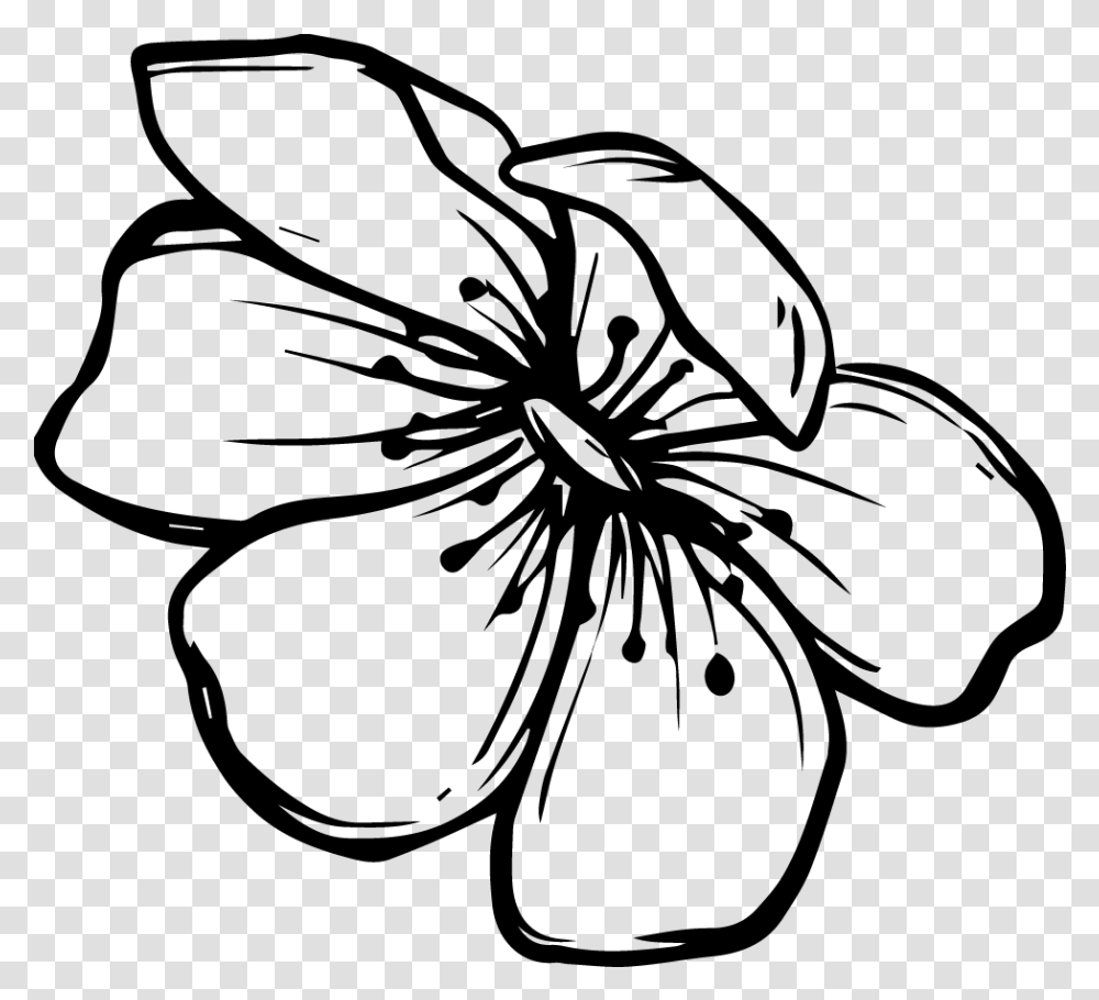 Line Drawing Black And White Flower, Gray, World Of Warcraft Transparent Png