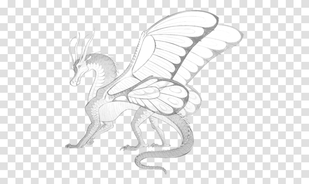 Line Drawing Of Angel Wings Owl Outline Free Pages Silkwings Wings Of Fire, Dragon, Dinosaur, Reptile, Animal Transparent Png
