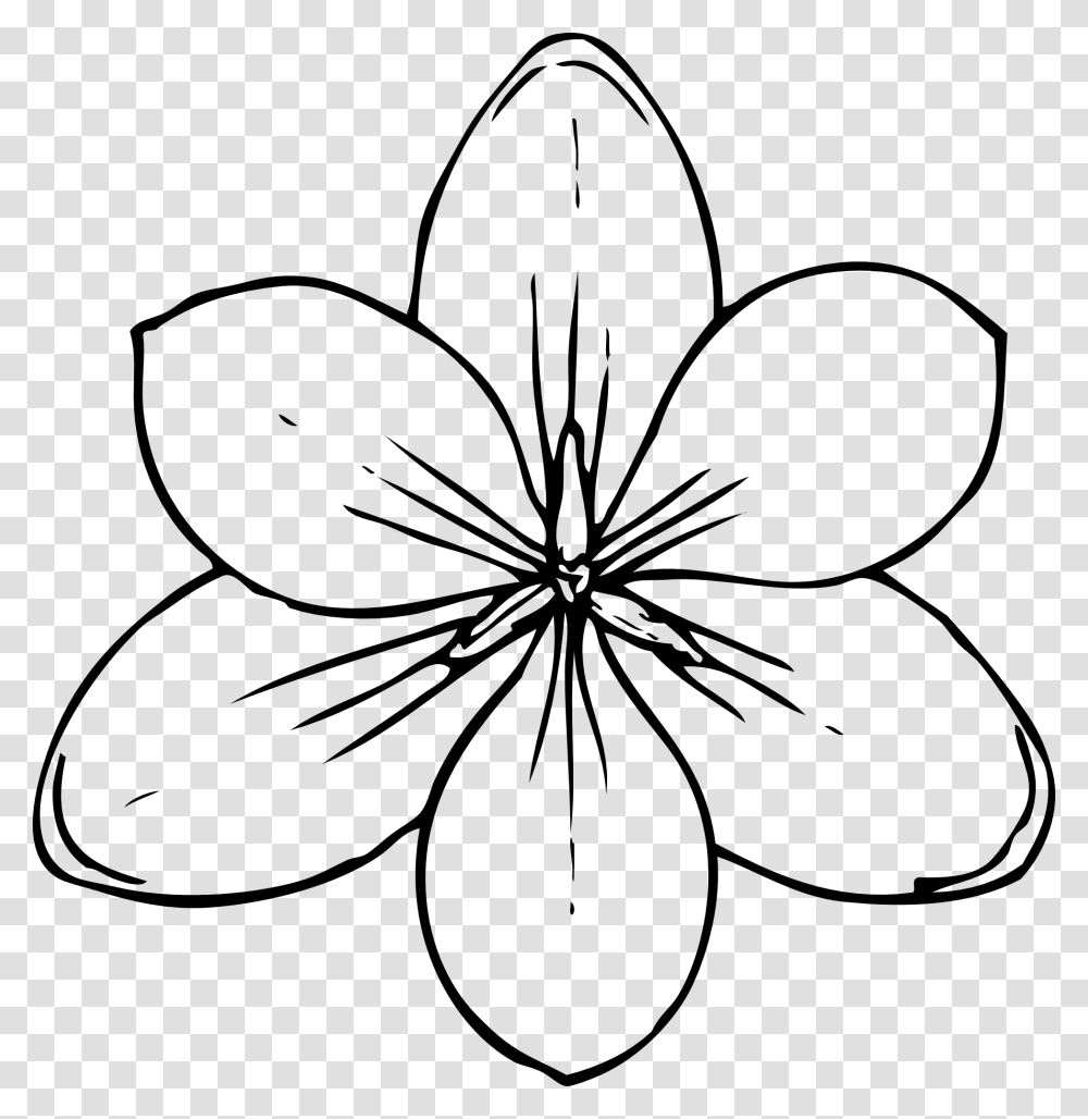 Line Drawing, Plant, Flower, Blossom, Petal Transparent Png