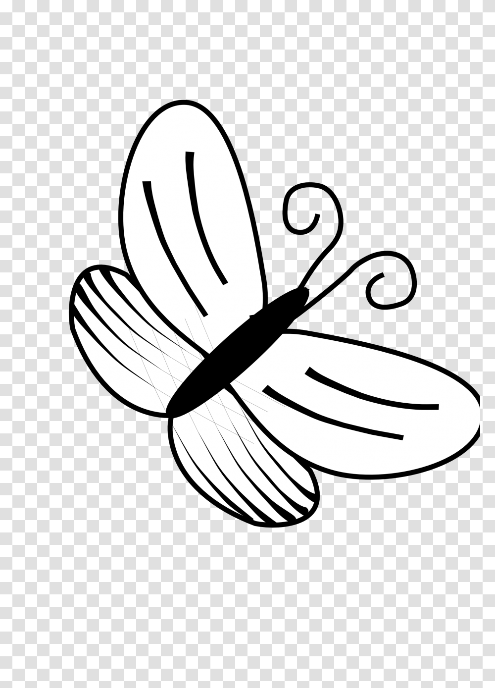 Line Drawings Of Butterflies, Stencil, Plant, Flower, Blossom Transparent Png