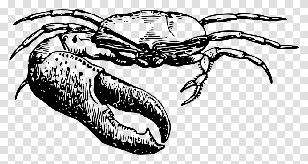 Line Fiddler Crab Clipart, Gray, World Of Warcraft Transparent Png