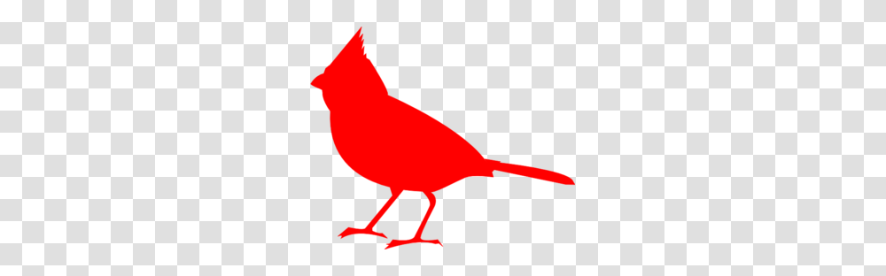 Line Leader Clip Art, Bird, Animal, Cardinal, Finch Transparent Png