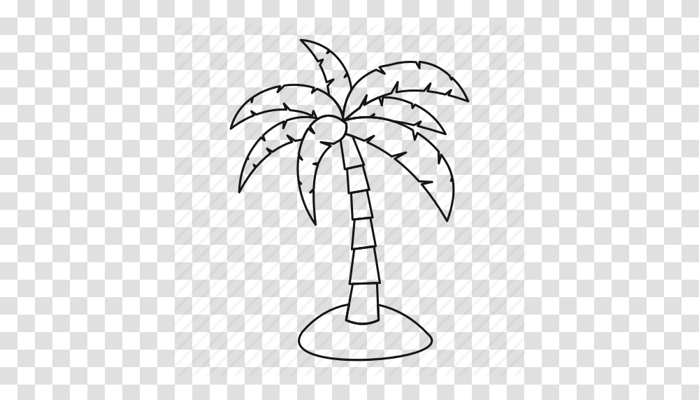 Line Nature Outline Palm Plant Tree Tropical Icon, Plot, Sphere Transparent Png