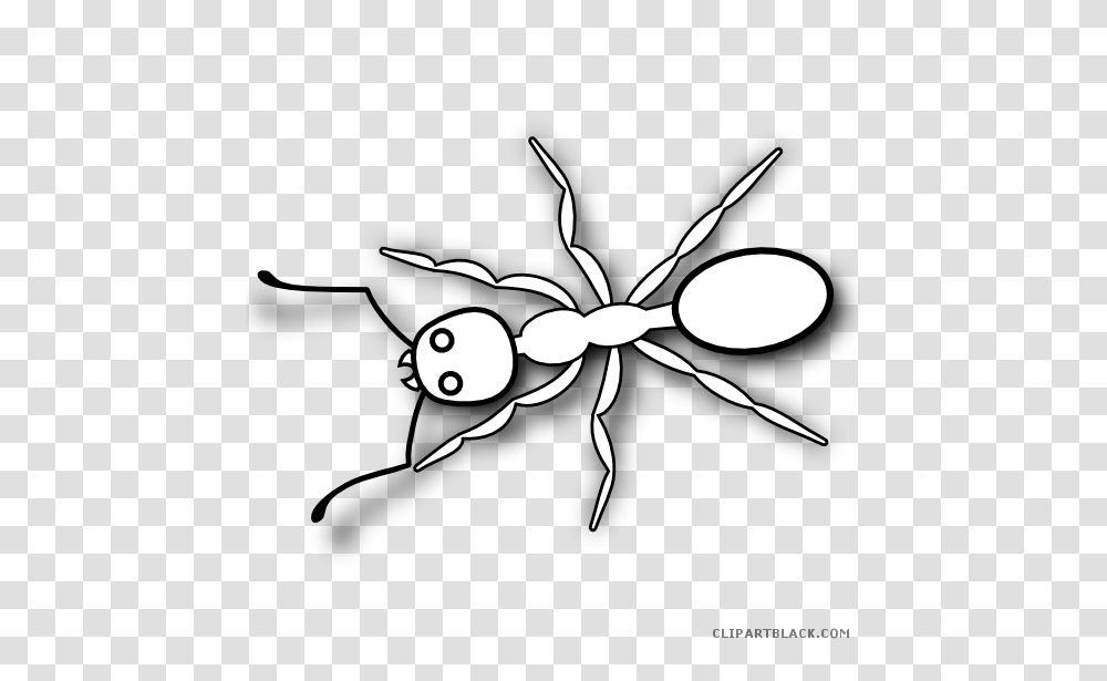 Line Picture Freeuse Free Download On Unixtitan, Ant, Insect, Invertebrate, Animal Transparent Png